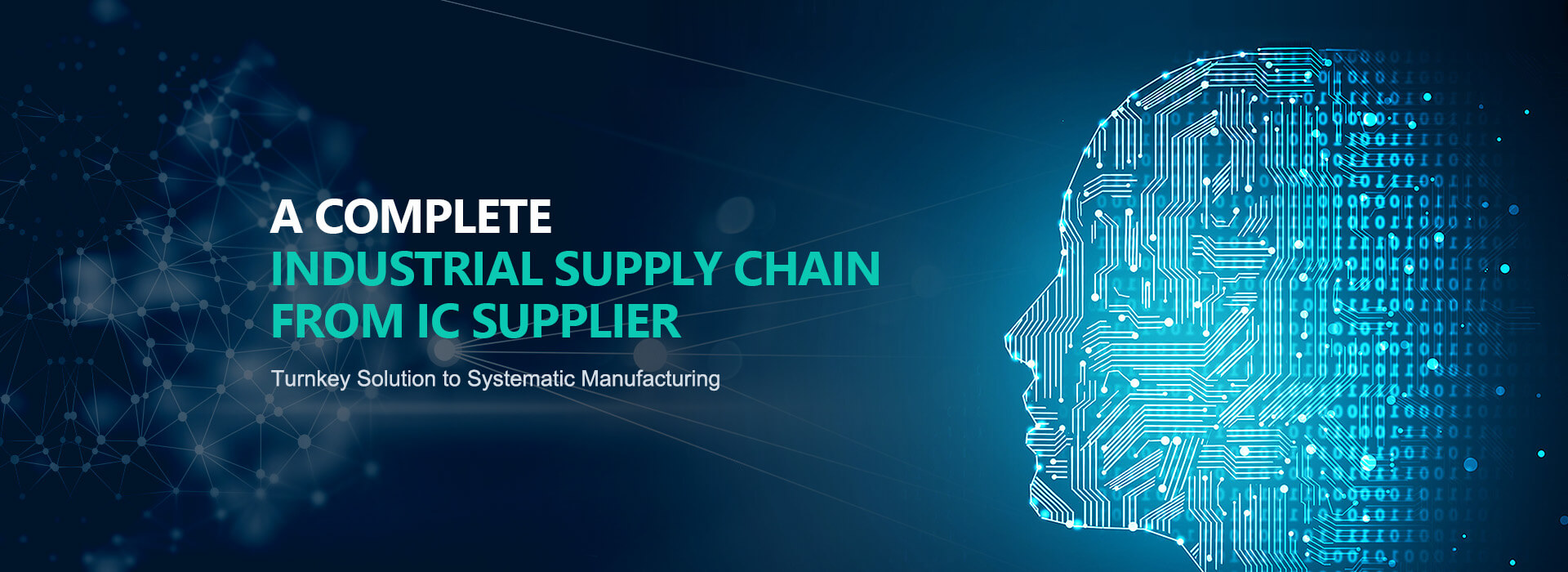 A Complete Industrial Supply Chain from IC supplier, Turnkey Solution to Systematic Manufacturing